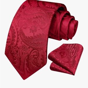Hisdern Elegant Red Paisley Tie and Pocket Square Set
